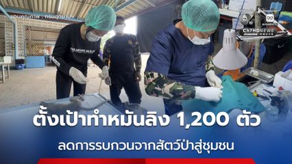 ตั้งเป้าทำหมันลิง 1,200 ตัว ลดการรบกวนจากสัตว์ป่าสู่ชุมชน