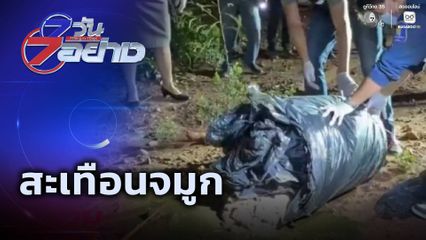 7 วัน 7 อย่าง : สะเทือนจมูก