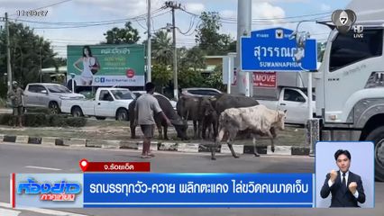 รถบรรทุกวัว-ควายพลิกตะแคง วิ่งไล่ขวิดคนบาดเจ็บ จ.ร้อยเอ็ด