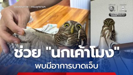 ช่วย "นกเค้าโมง" มีอาการบาดเจ็บ พร้อมนำตัวส่งรักษาเพื่อฟื้นฟูร่างกาย เตรียมความพร้อมก่อนปล่อยคืนสู่ธรรมชาติ