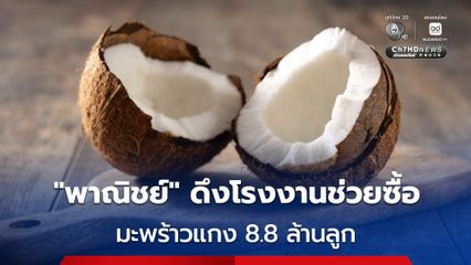“มะพร้าวแกง” ล้นตลาด ราคาตก “พาณิชย์” เร่งหาโรงงานช่วยซื้อ 8.8 ล้านลูก