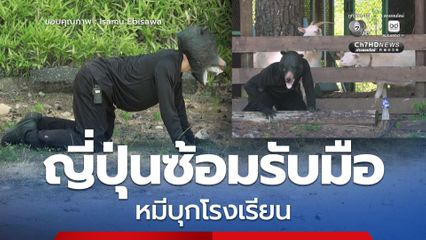 ญี่ปุ่นซ้อมแผนรับมือหมีบุก หลังสถิติทำร้ายคนพุ่งสูงเป็นประวัติการณ์