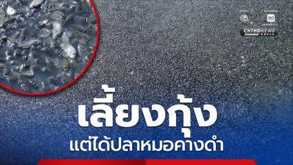 เกษตรกรหลั่งน้ำตา เลี้ยงกุ้ง แต่ได้ปลาหมอคางดำ
