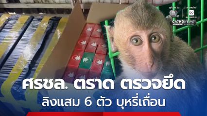 ศรชล. ตราด ยึดลิงแสม 6 ตัว บุหรี่เถื่อนกว่า 200 คอตตอน
