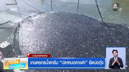 เกษตรกรน้ำตาซึม ปลาหมอคางดำ ยึดบ่อกุ้ง จ.สมุทรสงคราม