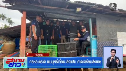 ศรชล.ตราด พบบุหรี่เถื่อน-ลิงแสม คาดเตรียมส่งขาย