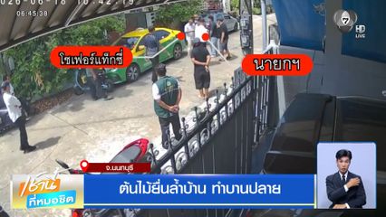 ต้นไม้ยื่นล้ำบ้าน ทำบานปลาย จ.นนทบุรี