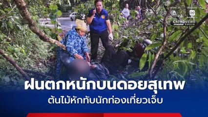 ฝนตกหนักบนดอยสุเทพ ต้นไม้หักทับนักท่องเที่ยวเจ็บ