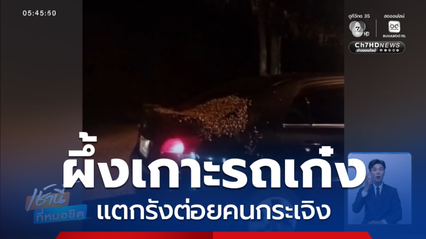 ผึ้งเกาะรถเก๋ง แตกรังต่อยคนกระเจิง จ.ปราจีนบุรี