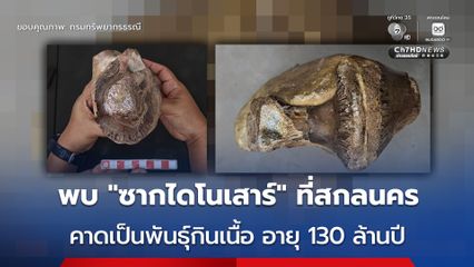 พบ “ซากดึกดำบรรพ์ไดโนเสาร์” บริเวณภูผาด่าง จ.สกลนคร คาดอายุราว 130 ล้านปี