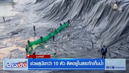 ช่วยสุนัขกว่า 10 ตัว ติดอยู่ในสระกักเก็บน้ำ