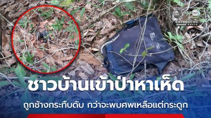 ชาวบ้านเข้าป่าหาเห็ด ถูกช้างกระทืบดับ กว่าจะพบศพเหลือแต่กระดูก