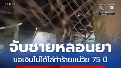จับชายหลอนยา ไล่ทำร้ายแม่ 75 ปี