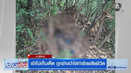 เข้าไปเก็บเห็ด ถูกช้างป่าไล่ทำร้ายเสียชีวิต จ.บุรีรัมย์