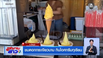 ชมดอกกระเจียวบาน กินไอศกรีมทุเรียน จ.ชัยภูมิ