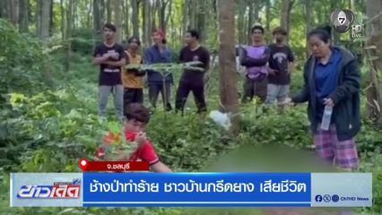 ช้างป่าทำร้าย ชาวบ้านกรีดยาง เสียชีวิต จ.ชลบุรี