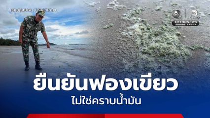อุทยานแห่งชาติเขาแหลมหญ้า-หมู่เกาะเสม็ด ยืนยันกรณีพบฟองธรรมชาติ ฟองเขียว เป็นฟองจากสาหร่าย ไม่ใช่คราบน้ำมัน