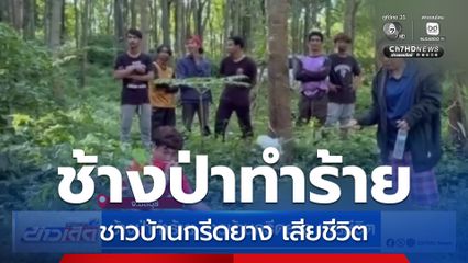 ช้างป่าทำร้าย ชาวบ้านกรีดยาง เสียชีวิต จ.ชลบุรี
