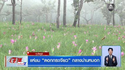 แห่ชม ดอกกระเจียว กลางม่านหมอก จ.ชัยภูมิ