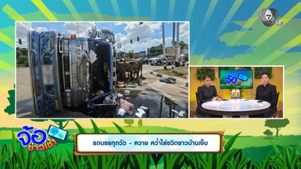 รถบรรทุกวัว - ควาย คว่ำไล่ขวิดชาวบ้านเจ็บ