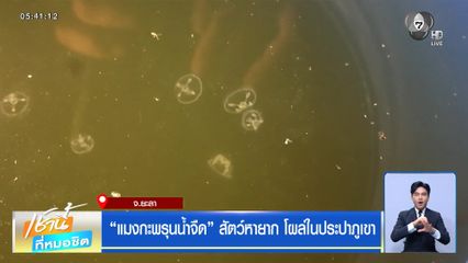 แมงกะพรุนน้ำจืด สัตว์หายาก โผล่ในประปาภูเขา