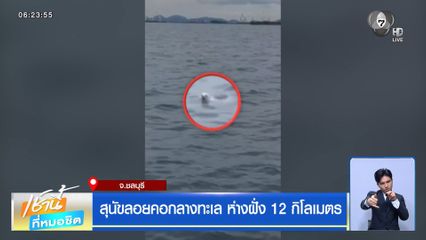 สุนัขลอยคอกลางทะเล ห่างฝั่ง 12 กิโลเมตร