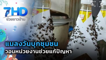 วอนแก้ปัญหา แมลงวันบุกชุมชน จ.ราชบุรี