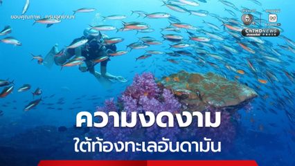 อุทยานแห่งชาติหมู่เกาะสิมิลัน จ.พังงา ได้เปิดเผยความงดงามใต้ท้องทะเลอันดามัน สะท้อนความอุดมสมบูรณ์ของธรรมชาติ