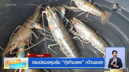 กรมประมงคุมเข้ม กุ้งก้ามแดง กว๊านพะเยา