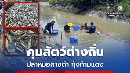 ก.เกษตรฯ คุมเข้มสัตว์น้ำต่างถิ่น ปลาหมอคางดำ กุ้งก้ามแดง