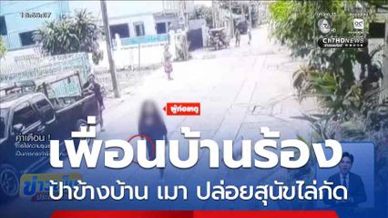 เพื่อนบ้านร้อง ป้าข้างบ้าน เมาอาละวาด ปล่อยสุนัขไล่กัด