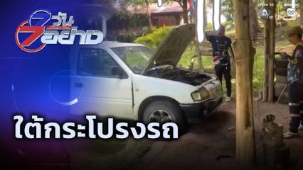 7 วัน 7 อย่าง : ใต้กระโปรงรถ