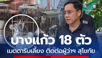 ผู้ว่าฯ สุโขทัยลงพื้นที่ตรวจสอบฟาร์มเพาะพันธุ์สุนัขบางแก้วผิดกฎหมาย
