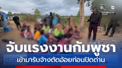 จับแรงงานกัมพูชา เข้ามารับจ้างตัดอ้อย