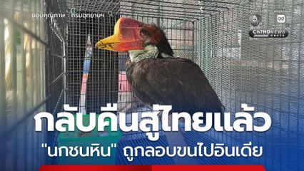 กลับคืนสู่ไทยแล้ว “นกชนหิน” ถูกลอบขนไปอินเดีย
