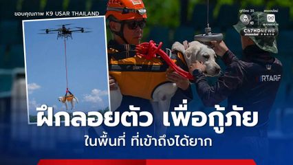 หน่วยบัญชาการทหารพัฒนา ช่วยฝึก สุนัข K9 USAR THAILAND เพื่อยกระดับความสามารถ ด้านการค้นหา