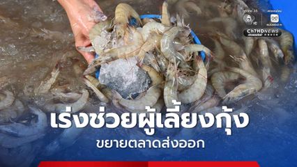 “พาณิชย์” เร่งช่วยผู้เลี้ยงกุ้ง ดันบริโภคในประเทศ–ขยายตลาดส่งออก