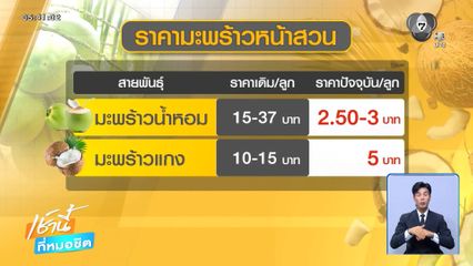 ราคามะพร้าว ยังร่วงต่อเนื่อง