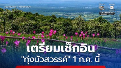 1 ก.ค. นี้ เตรียมเช็กอินความสดชื่นของฤดูฝนที่ "ทุ่งบัวสวรรค์" อุทยานแห่งชาติไทรทอง จ.ชัยภูมิ