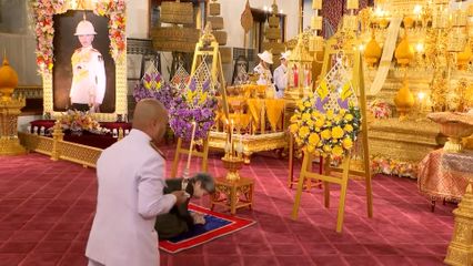พระอนุวงศ์ เสด็จไปในการบำเพ็ญพระราชกุศล พระราชทานพระศพ สมเด็จพระเจ้าลูกเธอ เจ้าฟ้าพัชรกิติยาภา นเรนทิราเทพยวดี กรมหลวงราชสาริณีสิริพัชร มหาวัชรราชธิดา
