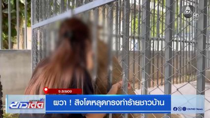 ผวา ! สิงโตหลุดกรงทำร้ายชาวบ้าน