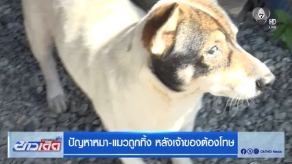 ปัญหาหมา-แมวถูกทิ้ง หลังเจ้าของต้องโทษ