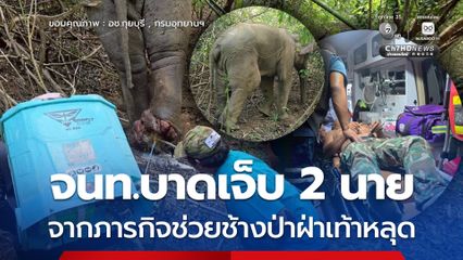 จนท.บาดเจ็บ 2 นาย จากภารกิจช่วยช้างป่าฝ่าเท้าหลุด