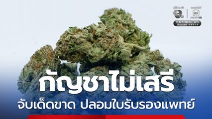 สธ.พบสวมสิทธิซื้อขายใบสั่งจ่ายเท็จ ซื้อช่อดอกกัญชา จับตาใบ ภ.ท.33 ปลอม