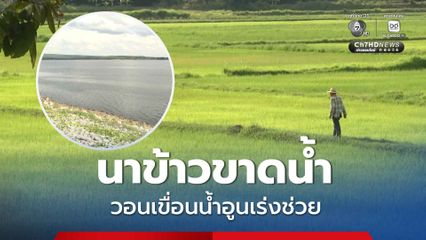 วิกฤตฝนทิ้งช่วง นาข้าวขาดน้ำ ชาวนาแบกค่าน้ำมันสูบน้ำ วอนเขื่อนน้ำอูนเร่งช่วยเหลือ