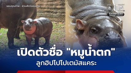 สวนสัตว์ขอนแก่น ฉลองครบรอบ 13 ปี เปิดตัวชื่อ "หมูน้ำตก" ลูกฮิปโปโปเตมัสแคระเพศเมีย