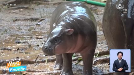 หมูน้ำตก หลาน ป้าหมูเด้ง จ.ขอนแก่น