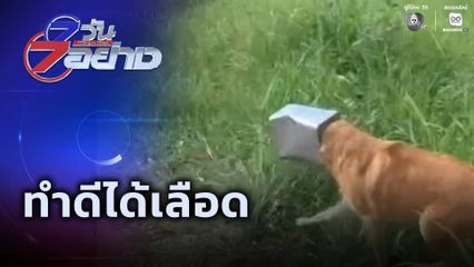 7 วัน 7 อย่าง : ทำดีได้เลือด