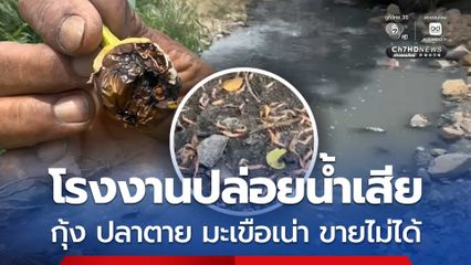 โรงงานปล่อยน้ำเสีย ปลา กุ้ง ที่เลี้ยงไว้ตาย มะเขือที่ปลูกเน่าเสีย