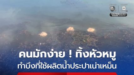คนมักง่าย ทิ้งหัวหมูนับ 100 หัว ลงบึงที่ใช้ผลิตน้ำประปาเน่าเหม็น